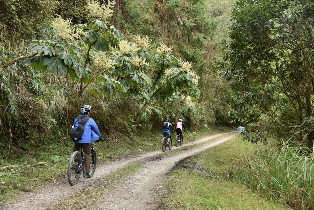 Trial of Bicycle Entry into the East Branch of Dalu Forest Rd. to Add Value to the Branch