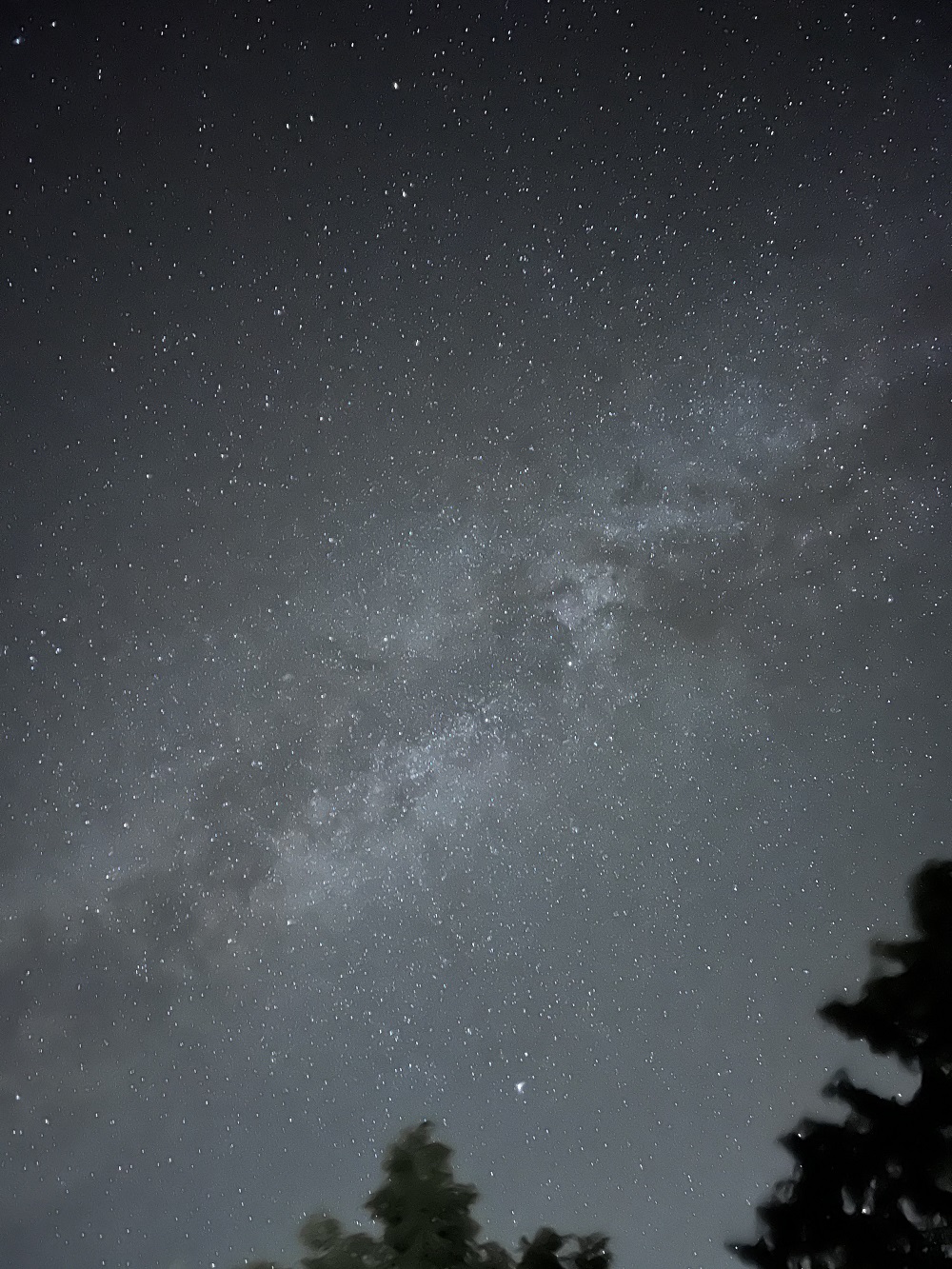 塔塔加の夜空