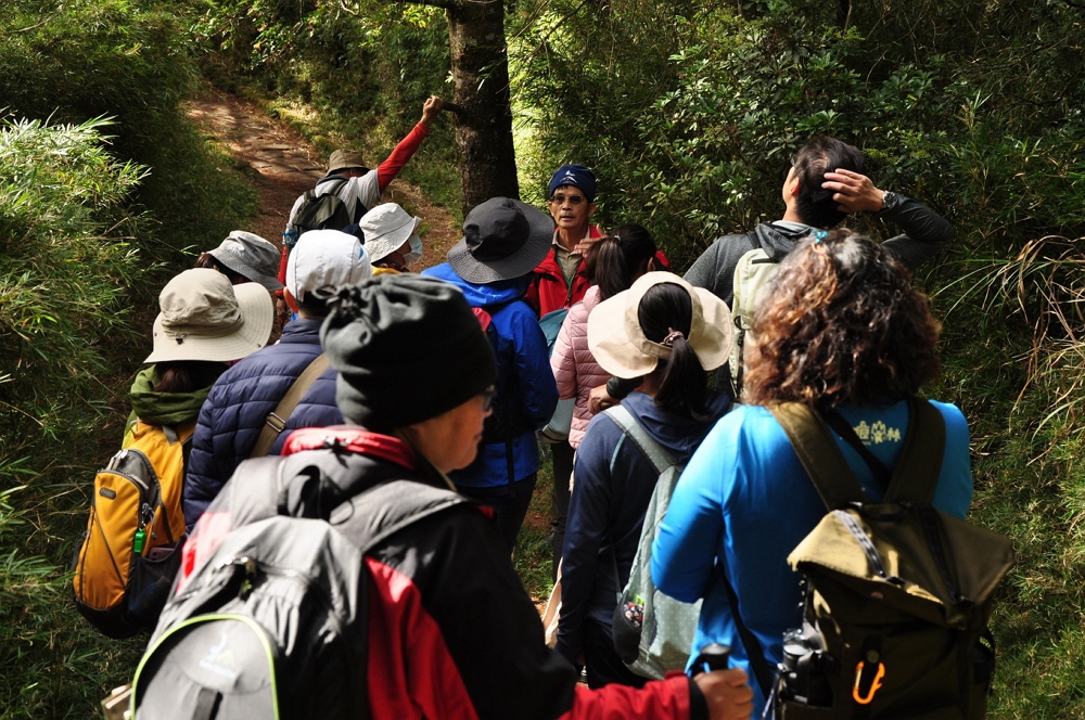 專人帶領漫遊塔塔加地區步道，體驗豐富自然生態環境/玉管處提供