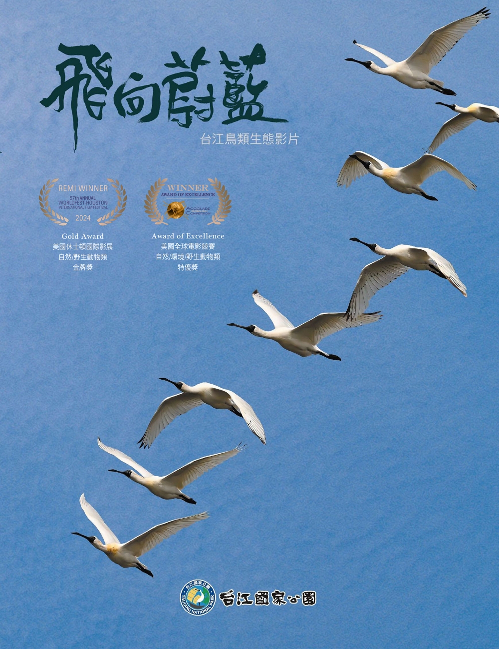 「飛向蔚藍：台江鳥類生態影片」