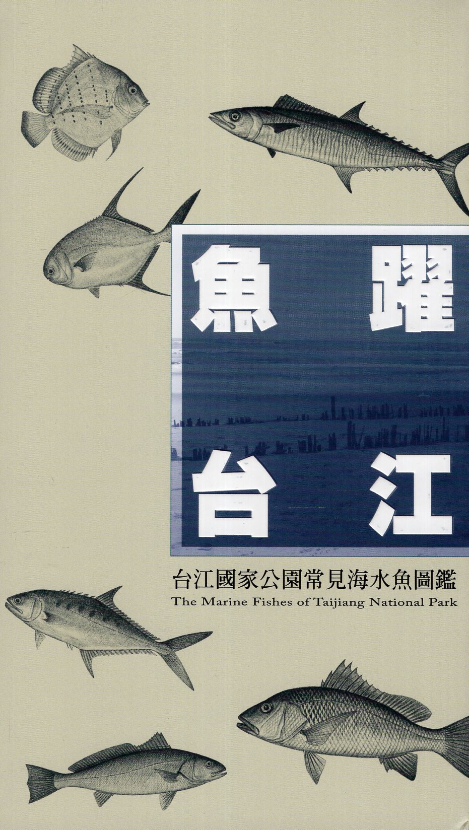 《魚躍台江：台江國家公園常見海水魚圖鑑》封面