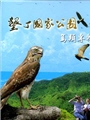 《墾丁國家公園鳥類專輯 (DVD)》封面