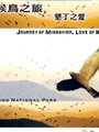 《候鳥之旅，墾丁之愛(DVD)》封面