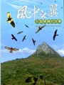 《風中之翼─灰面鵟鷹的故事 (DVD)》封面
