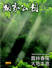 2011年三月號封面