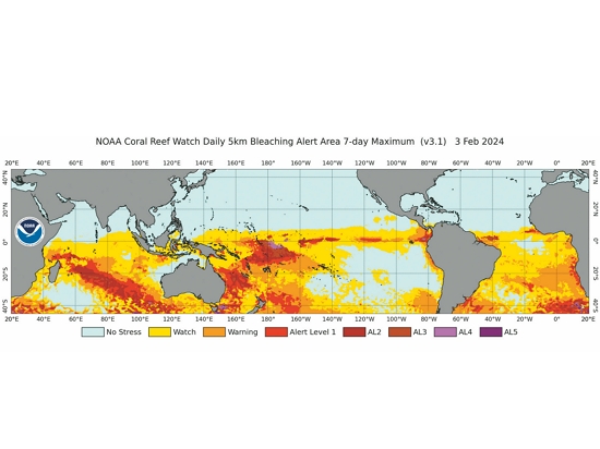 珊瑚白化警報，一至五級以不同顏色表示（圖為 2024年2月3日資料）