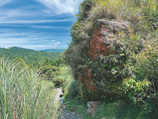 陽明山國家公園中滲水的岩壁，是典型的垂直濕地之一／洪敏智 攝