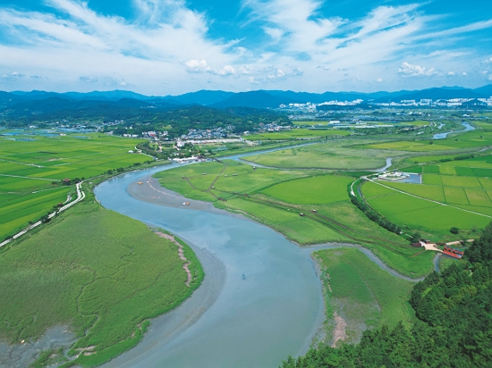 水平地勢的濕地，是一般人認知中最普遍的濕地樣貌，圖為韓國最知名的拉姆薩公約順天灣濕地 ／方偉達 提供（方承舜 攝））