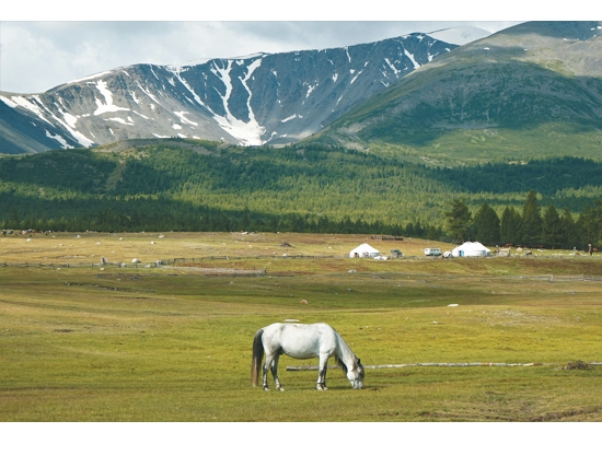 蒙古有 80% 的土地由草原覆蓋，是重要的碳匯資源／ Ariungoo Batzorig 提供 