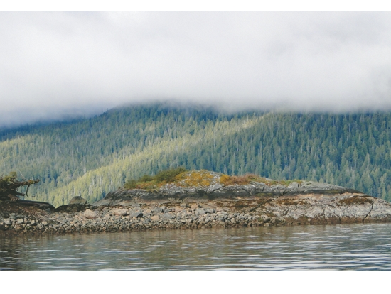 位於溫哥華島西岸的克拉闊特峽灣，由聯合國教科文組織劃定為生態保護區／ Adam Jones, Ph.D. 提供 