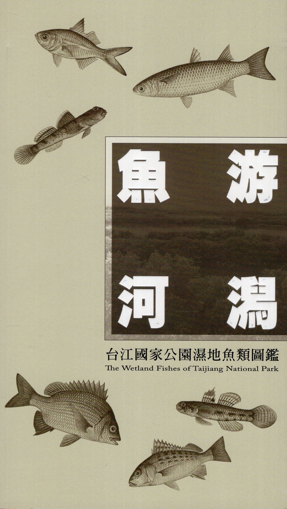 《魚游河潟：台江國家公園濕地魚類圖鑑》封面