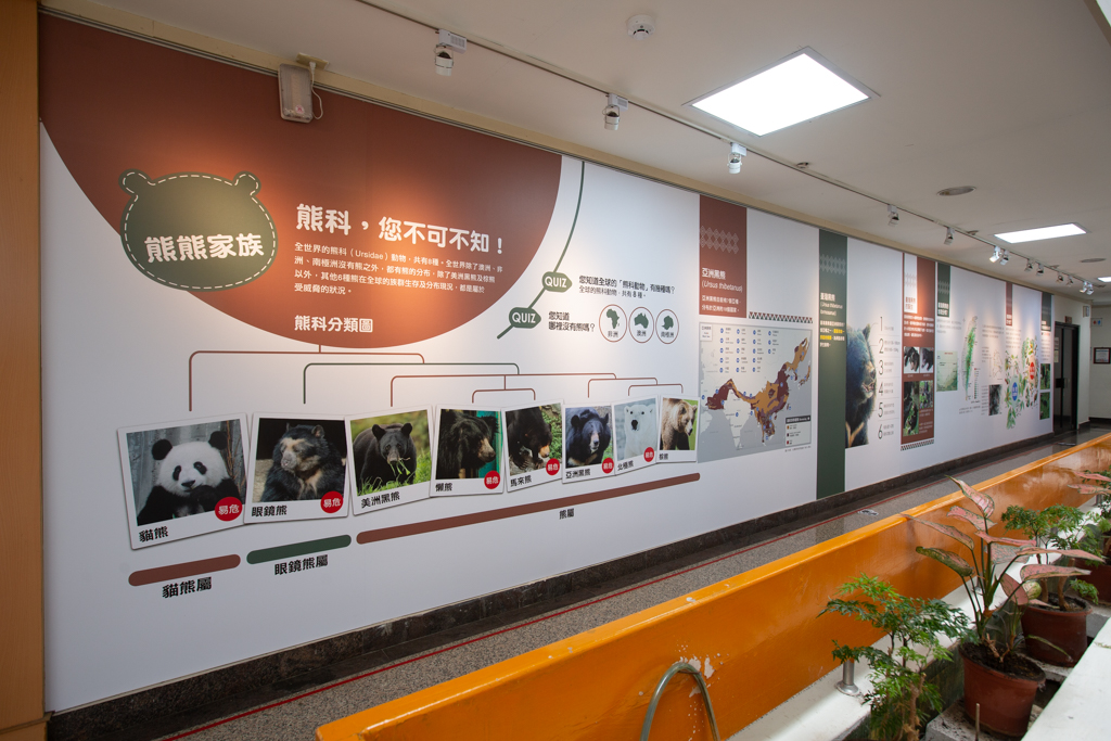 “Giving the Bears Back Their Homeland, Returning to Yushan and Visiting the Kingdom of Bears”special exhibition Introduce the bear knowledge that you must know about the bear family!