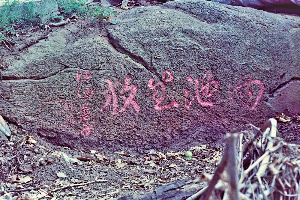 今(111)年3月初，於古崗湖旁發現「內池生放」石刻(金門國家公園管理處提供，蔡承璋攝)