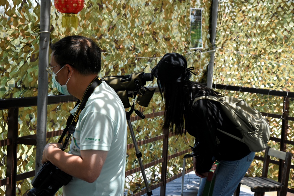 栗喉蜂虎保育宣導活動，可以透過望遠鏡觀察營巢地的栗喉蜂虎(金門國家公園管理處提供，蔡承璋攝)