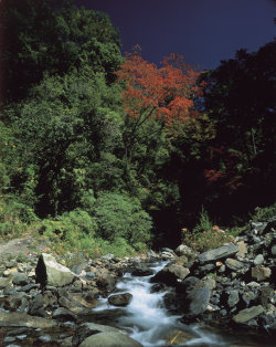 Kyawan Creek