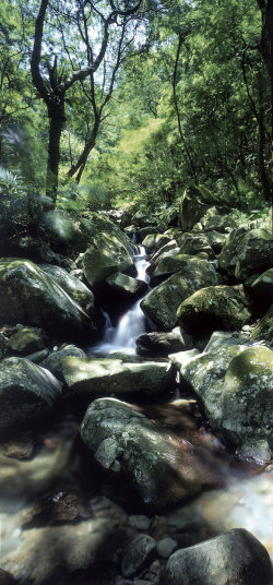 Lujiaokeng Creek