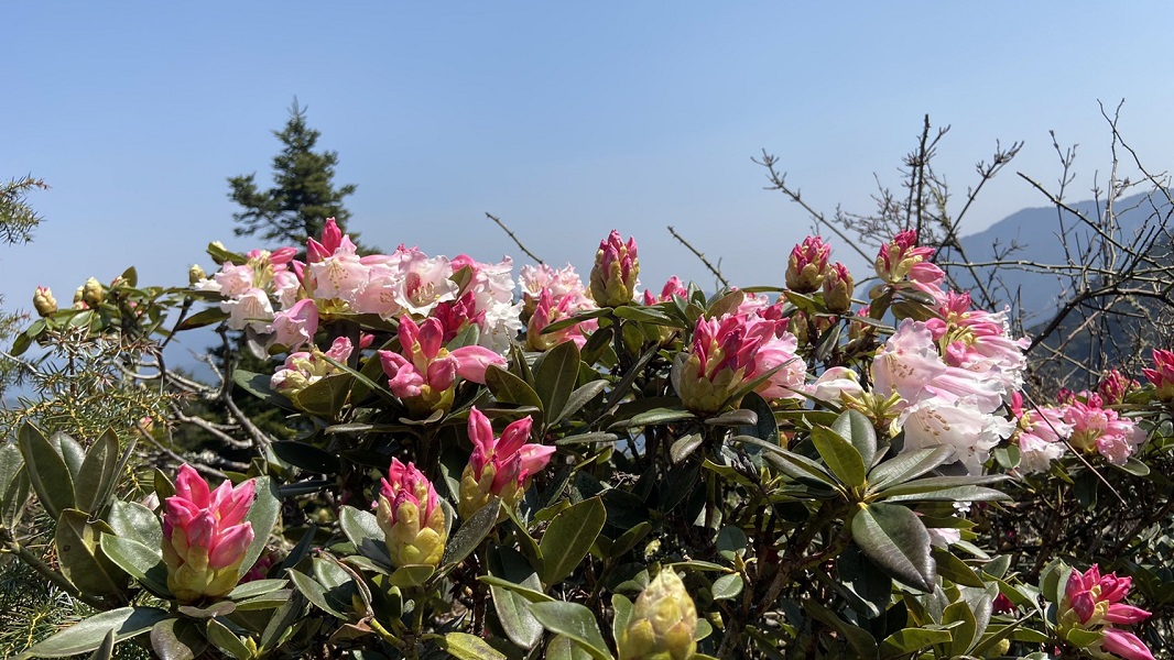 太魯閣國家公園小奇萊步道