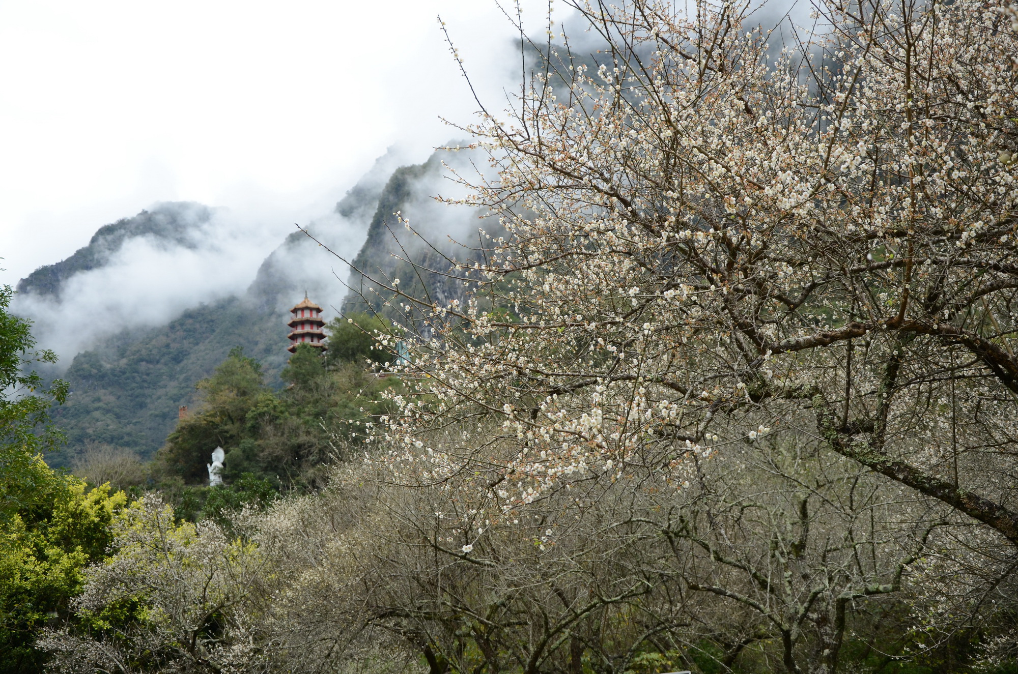 天祥祥德寺(太管處資料照片)