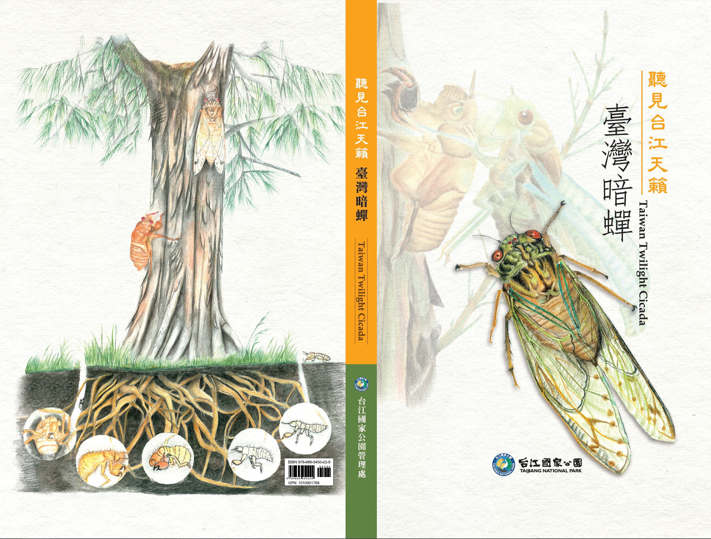 《聽見台江天籟:臺灣暗蟬》封面