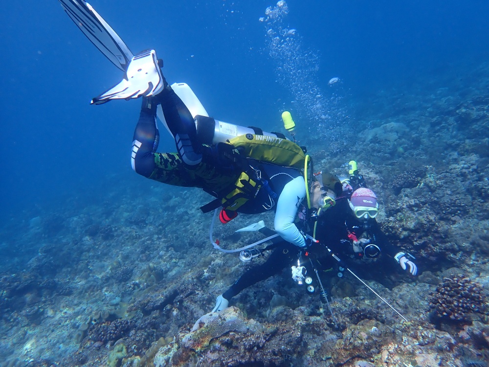 東沙突棘隊志工清除棘冠海星情形