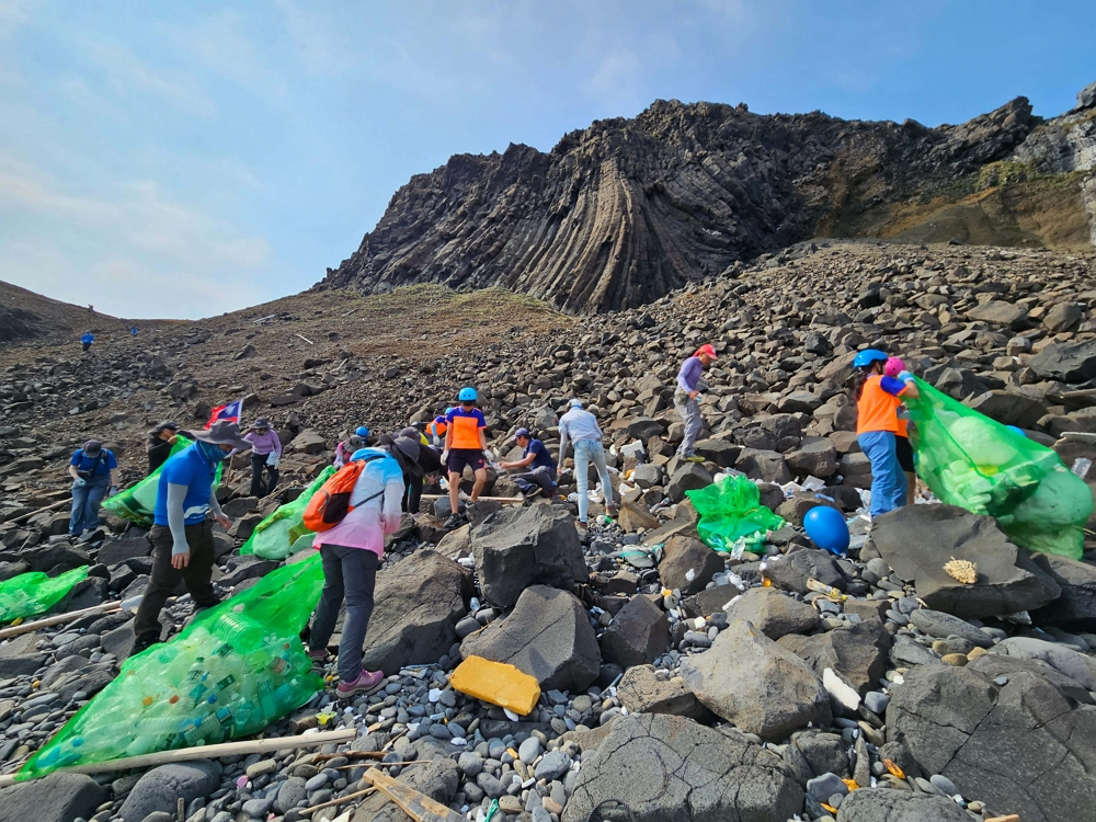 Beach Cleaning Activities