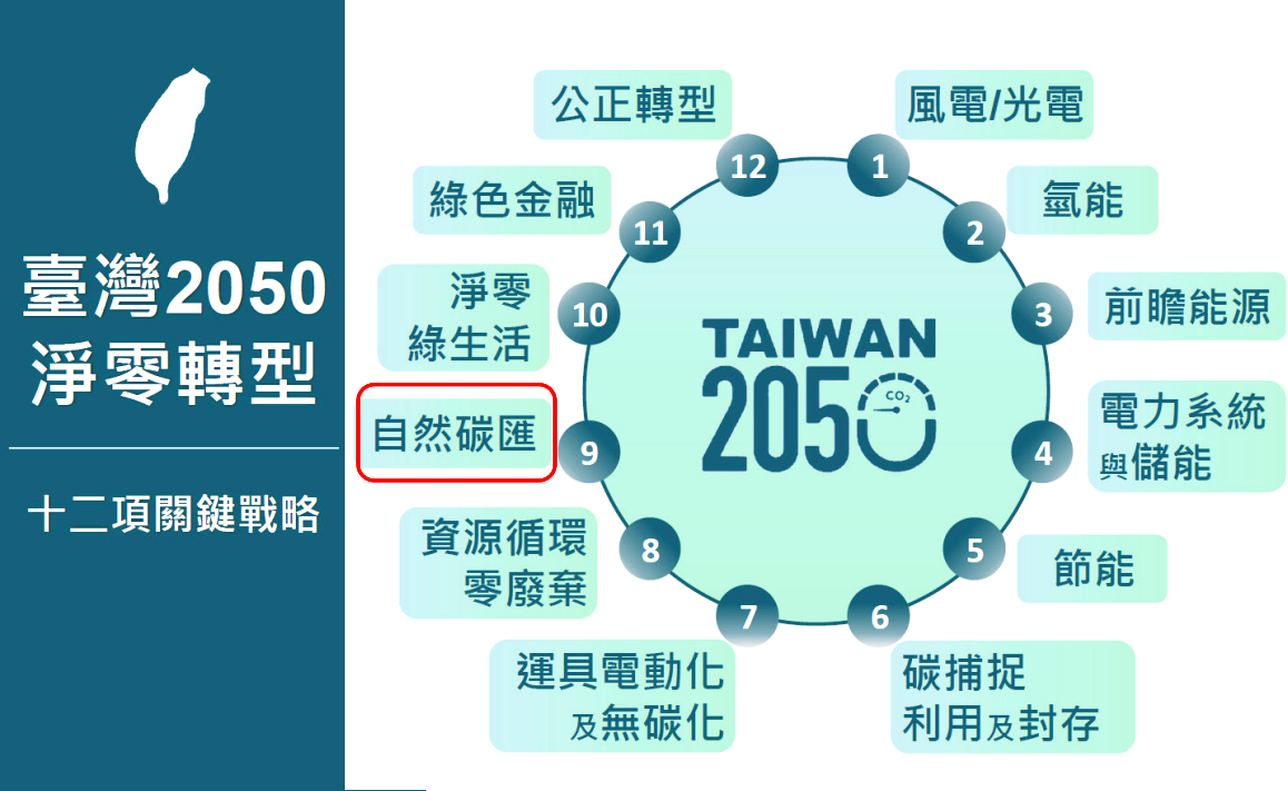 政府推動2050淨零轉型圖(圖：國發會)