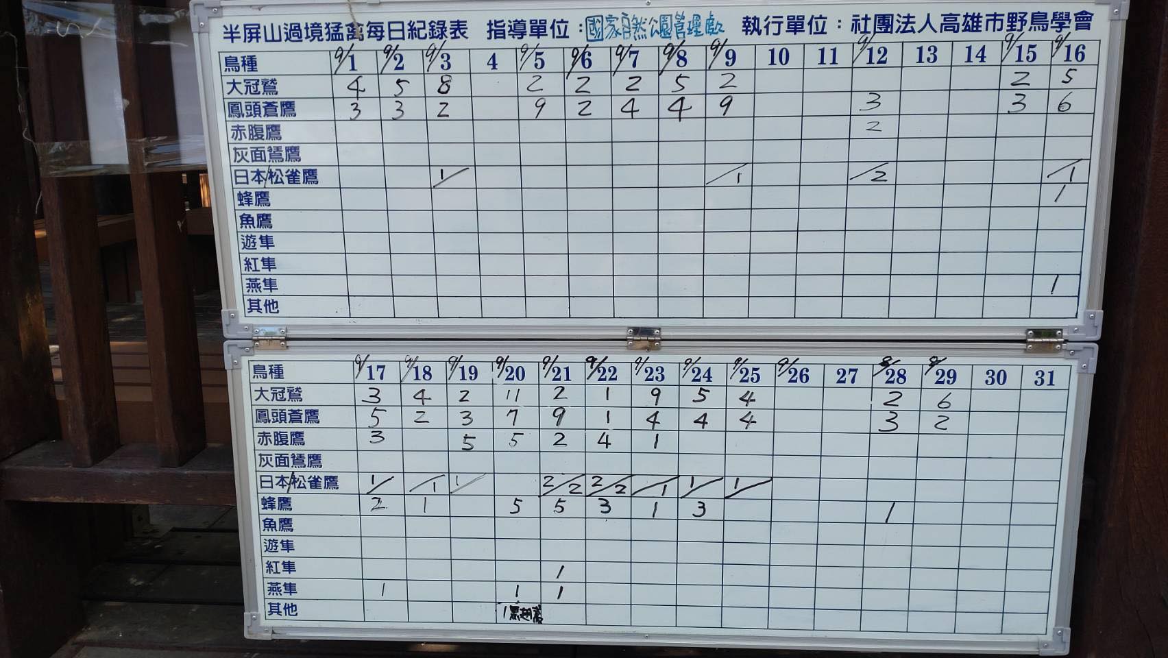 自管處與高雄鳥會合作調查半屏山猛禽過境數量