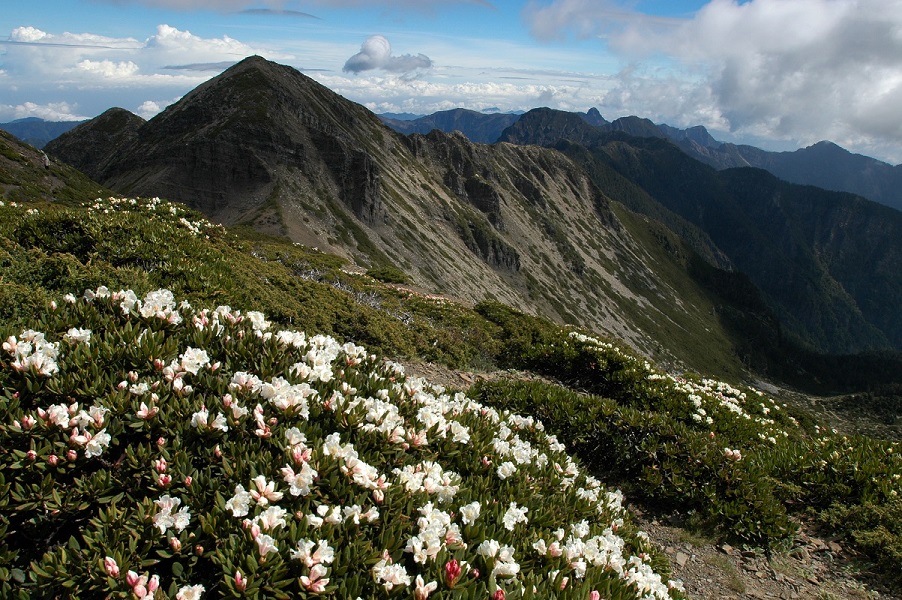 Xueshan Trails of Shei-Pa National Park