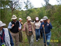 Visiting a Taiwan Ebony fores