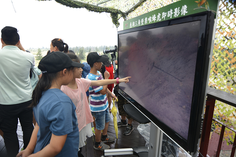 金門國家公園栗喉蜂虎即時影像訂於106年6月2日開播 共三張圖