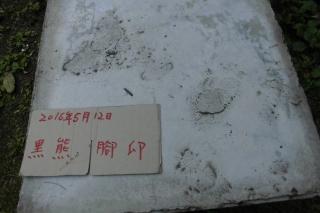 抱崖吊橋黑熊腳印
