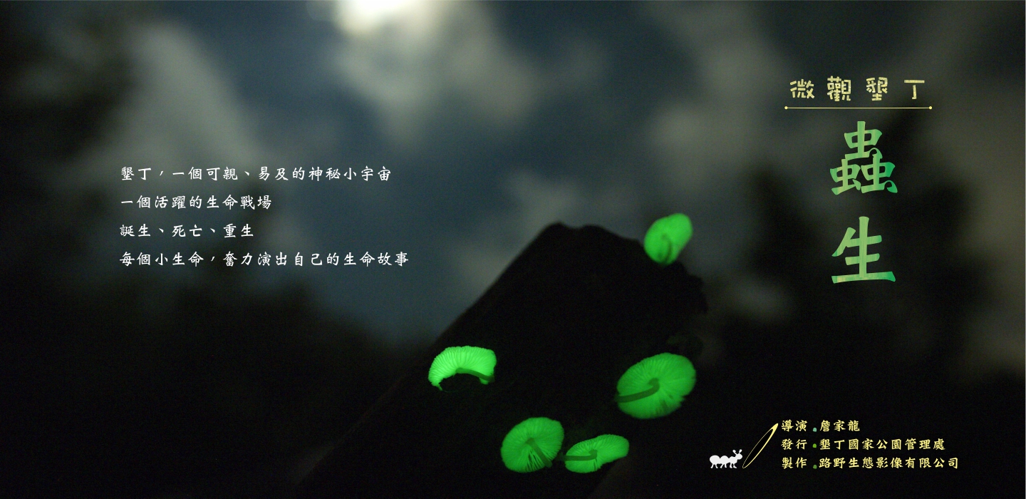 蟲生-微觀墾丁影片訴說著生命輪迴的故事
