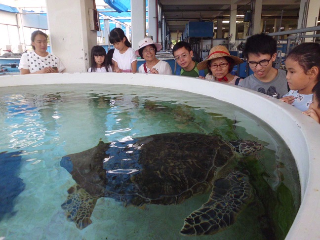潮向海洋玩科學 共四張圖