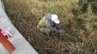 清理公路旁的垃圾