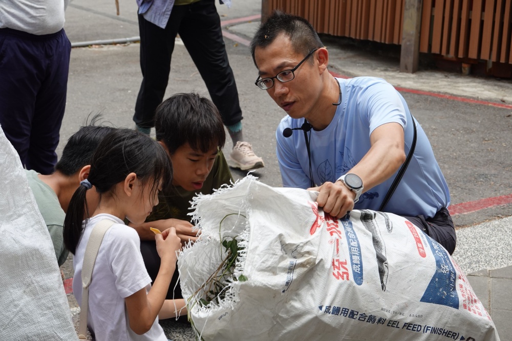 移除後進行植株秤重