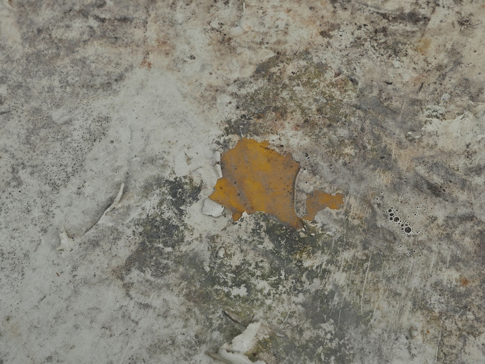 環境教育館平屋頂防水層老化/自管處提供