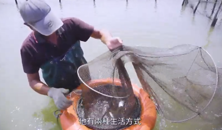 本次影展最大贏家—潟湖三生