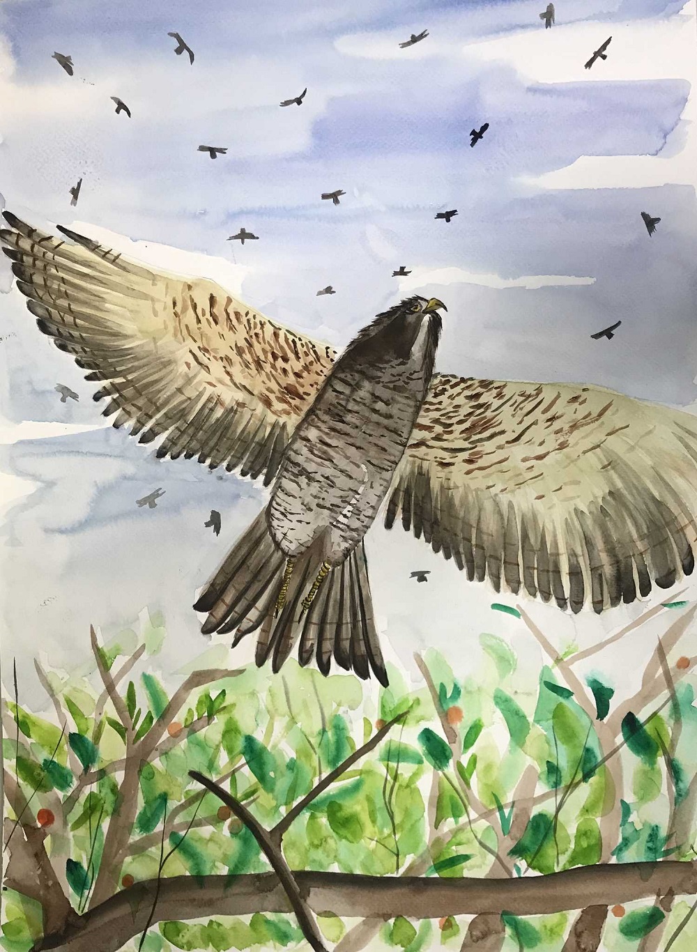 2022琅嶠鷹季寫生特展