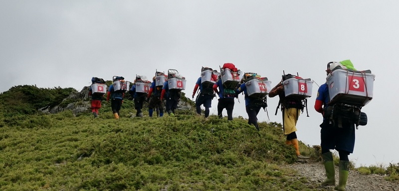 This October (2019), release of 400 fries around 10 centimeters in size and about 11 months-old took place in the past habitat of Xiaotanxi Bay.