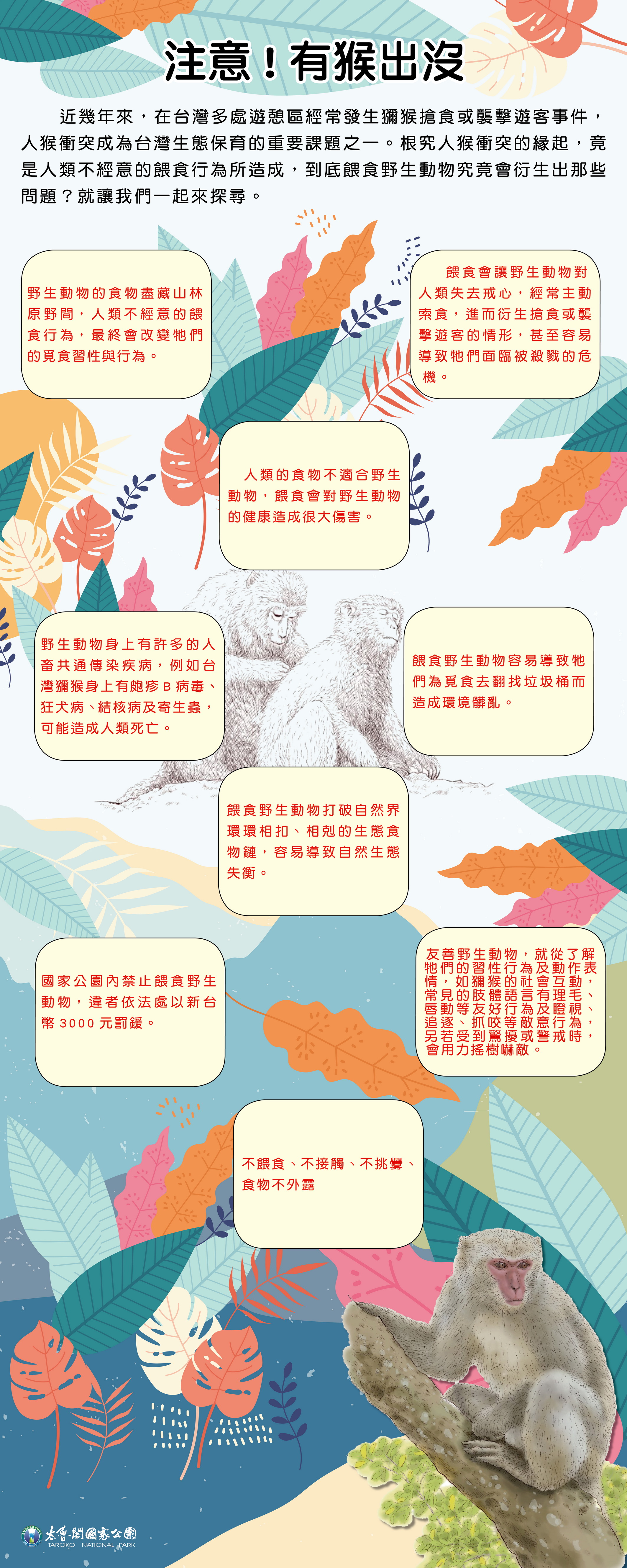 注意!有猴出沒(解說版)
