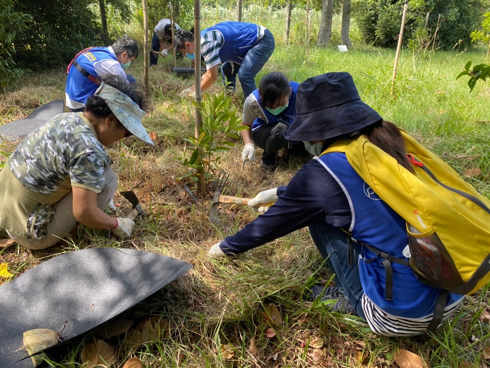 Tree Planting Activities