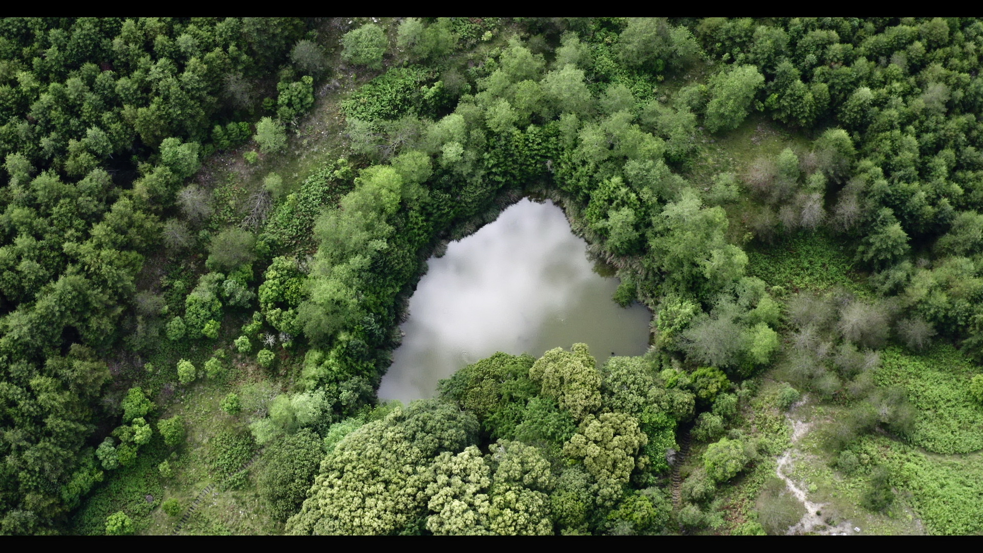 “Driving the pulse of life—Journey on the Southern Cross-Island Highway in Yushan”two pictures.