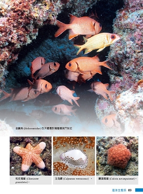 Oasis on the Sea—Dongsha Marine Chapter