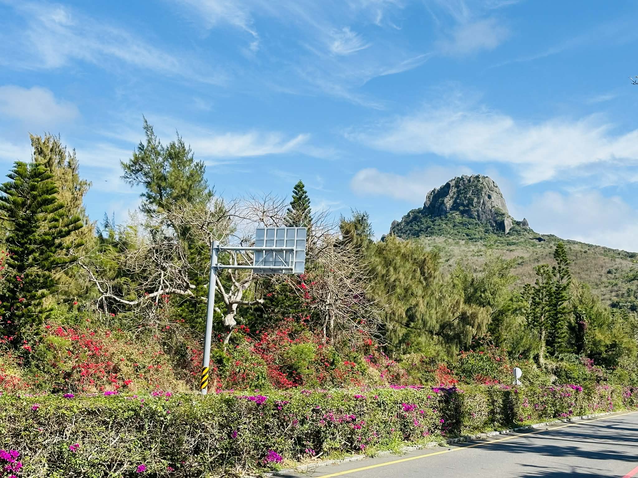 屏東縣花九重葛繽紛的花色，點綴了大尖山景