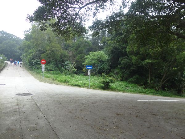 前方為單行道車輛禁止逆向通行