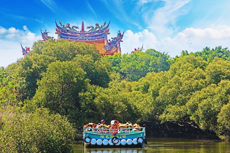 搭乘管筏梭綠色隧道,近距離欣賞紅樹林生態之美