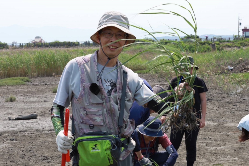 台灣野鳥協會吳自強總幹事介紹外來種-互花米草