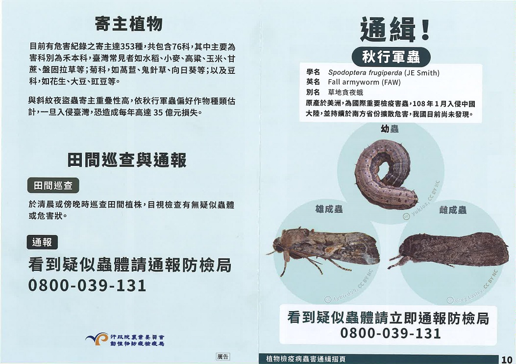 秋行軍蟲辨識方式,共兩張圖
