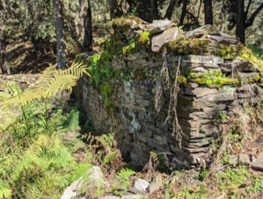 It was found that there are many historic Bunun architectural clusters along the Batongguan Traversing Trail,two pictures.