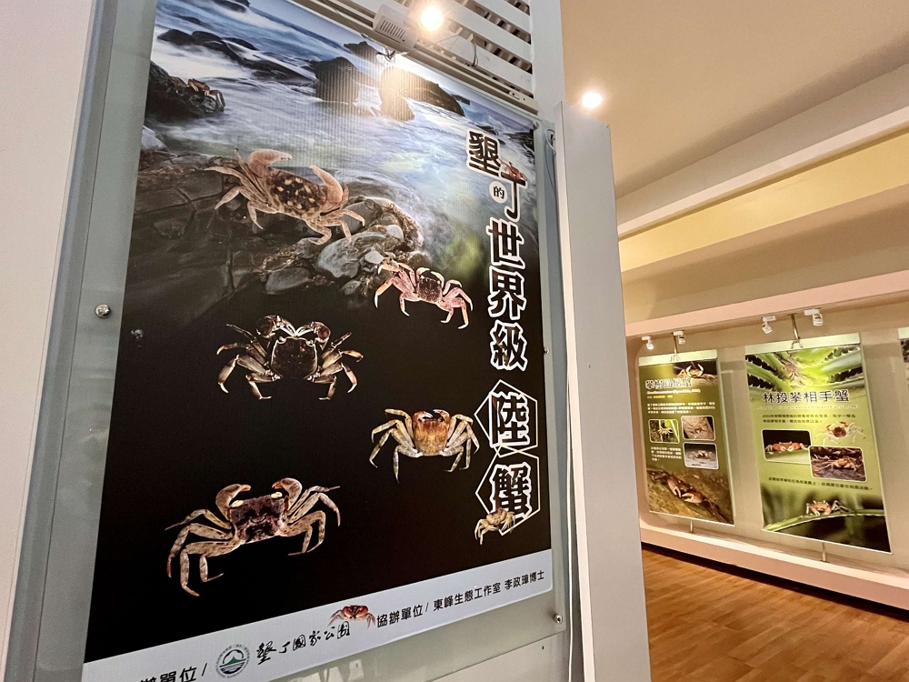 墾丁的世界級陸蟹特展/墾管處提供